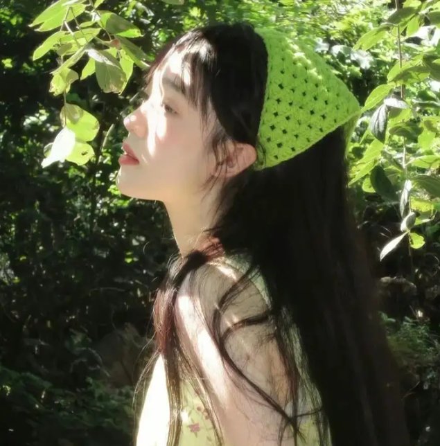 护花大臣 封面